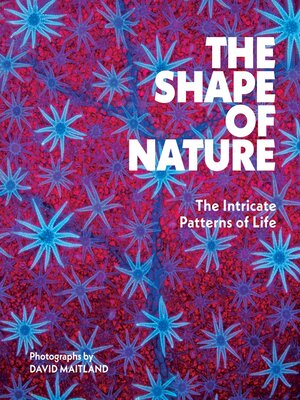 cover image of The Shape of Nature